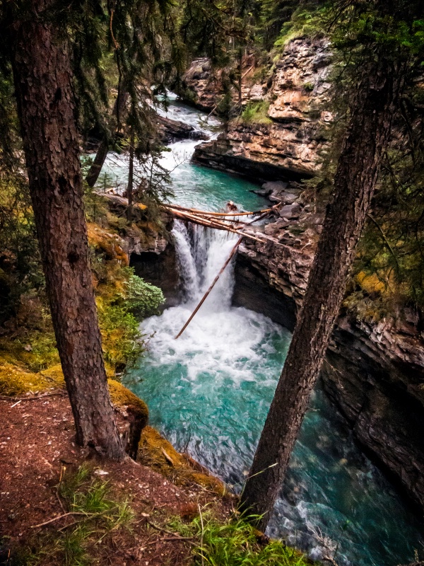 Johnston Creek Canyon 1 Year Later - ID: 14560789 © Patricia A. Casey