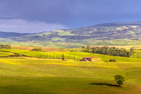 Tuscan Farm 