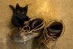 ~ Puss &Boots ~