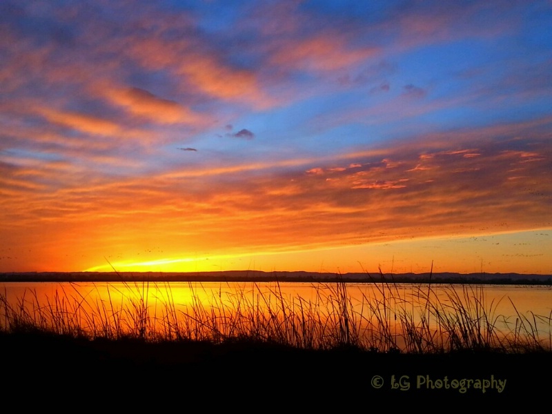 Sunset Reflections