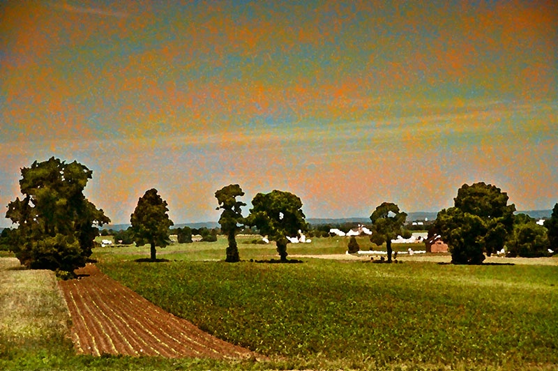Farm field - ID: 14562293 © Loan Tran