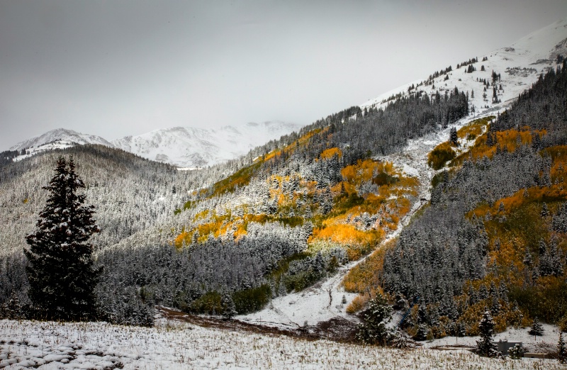 Winter Pass With Splash of Color 