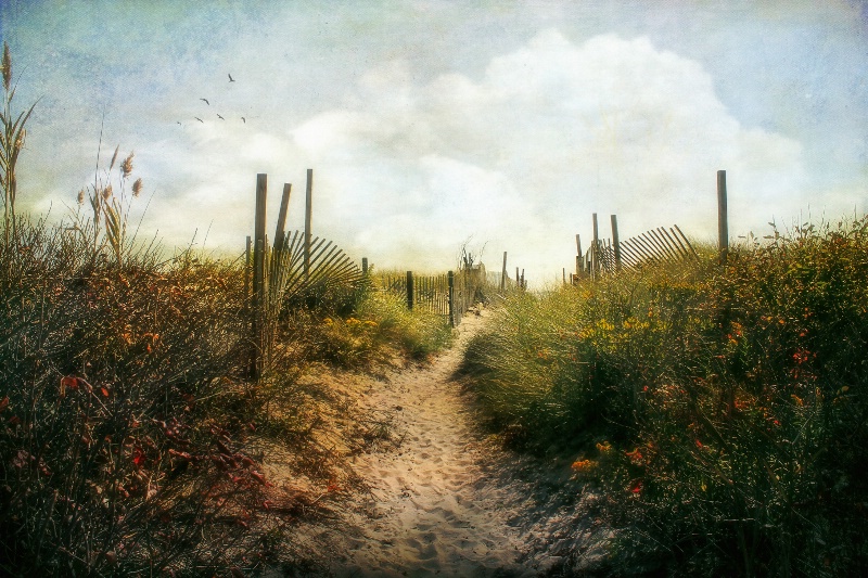 Summer Pathway