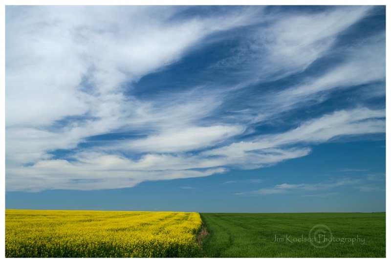 Alberta Fields - ID: 14563807 © Jim D. Knelson
