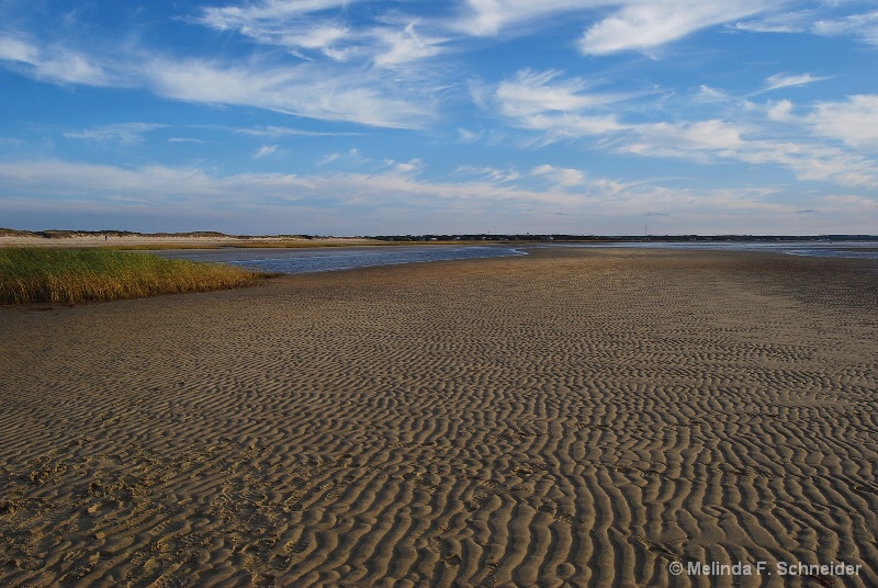 Low Tide