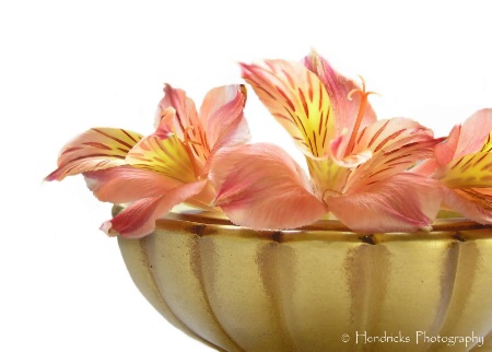 bowls of petals