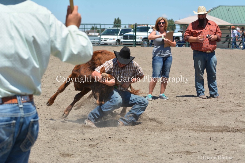 ujra parent rodeo 2014  1  - ID: 14564271 © Diane Garcia