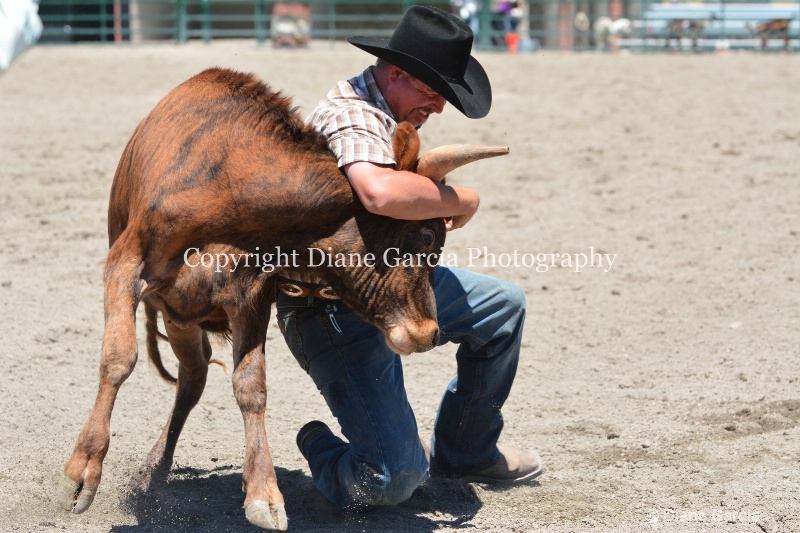 ujra parent rodeo 2014  2  - ID: 14564272 © Diane Garcia