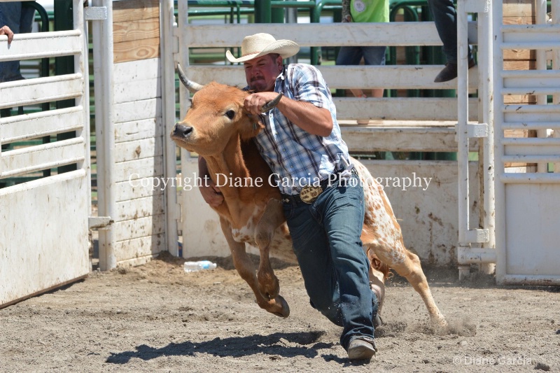 ujra parent rodeo 2014  5  - ID: 14564275 © Diane Garcia