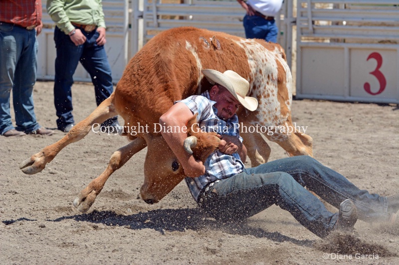 ujra parent rodeo 2014  6  - ID: 14564276 © Diane Garcia