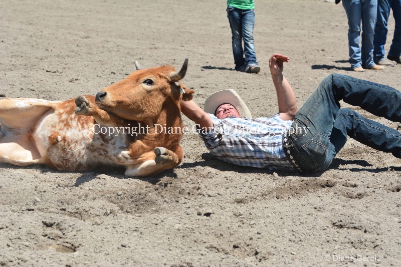 ujra parent rodeo 2014  7  - ID: 14564277 © Diane Garcia