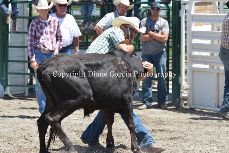 ujra parent rodeo 2014  9  - ID: 14564279 © Diane Garcia