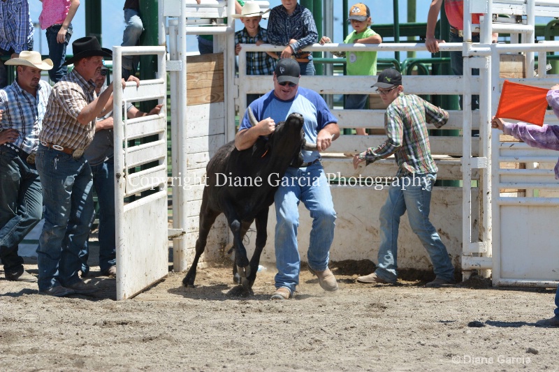 ujra parent rodeo 2014  11  - ID: 14564281 © Diane Garcia