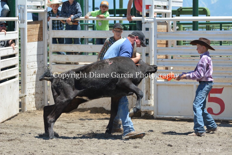 ujra parent rodeo 2014  12  - ID: 14564282 © Diane Garcia