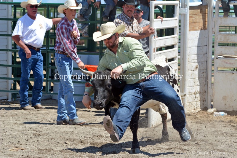 ujra parent rodeo 2014  14  - ID: 14564284 © Diane Garcia