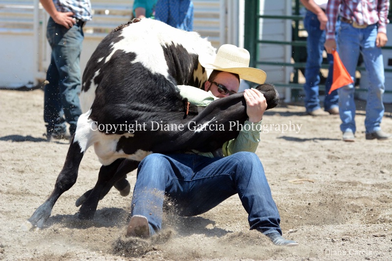 ujra parent rodeo 2014  15  - ID: 14564285 © Diane Garcia