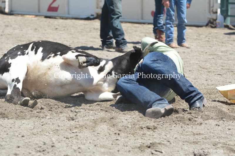 ujra parent rodeo 2014  17  - ID: 14564287 © Diane Garcia