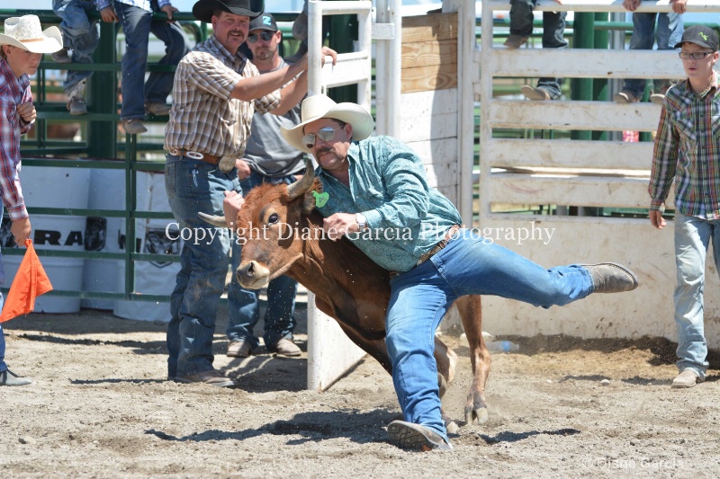 ujra parent rodeo 2014  18  - ID: 14564290 © Diane Garcia