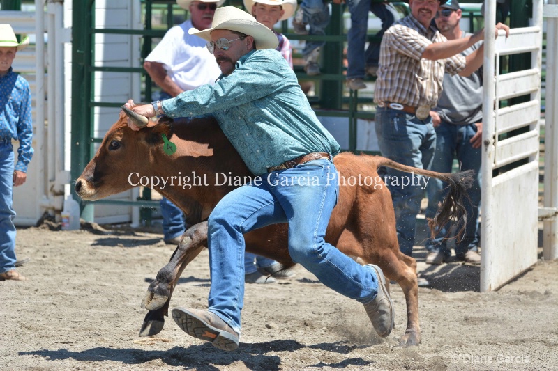 ujra parent rodeo 2014  19  - ID: 14564292 © Diane Garcia