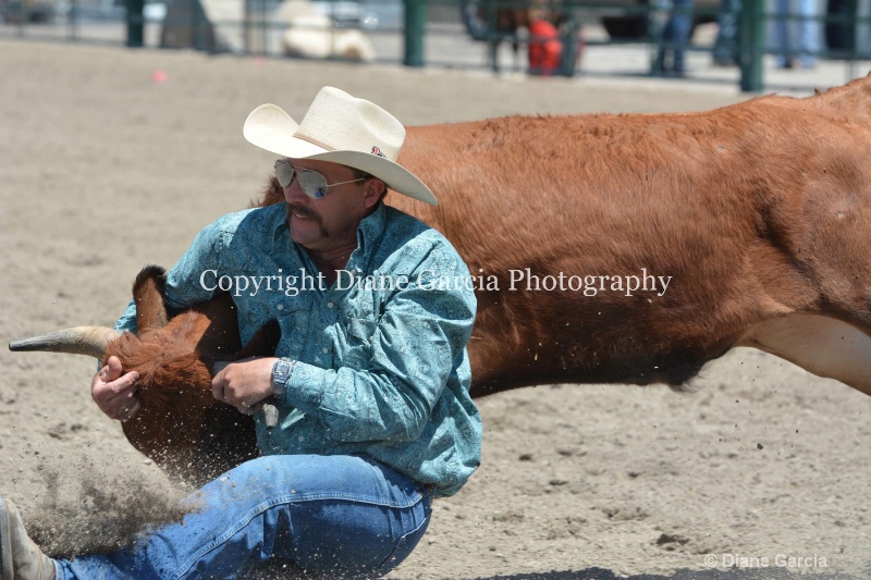 ujra parent rodeo 2014  20  - ID: 14564293 © Diane Garcia