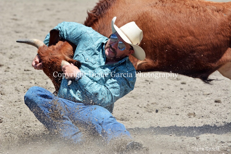 ujra parent rodeo 2014  21  - ID: 14564294 © Diane Garcia