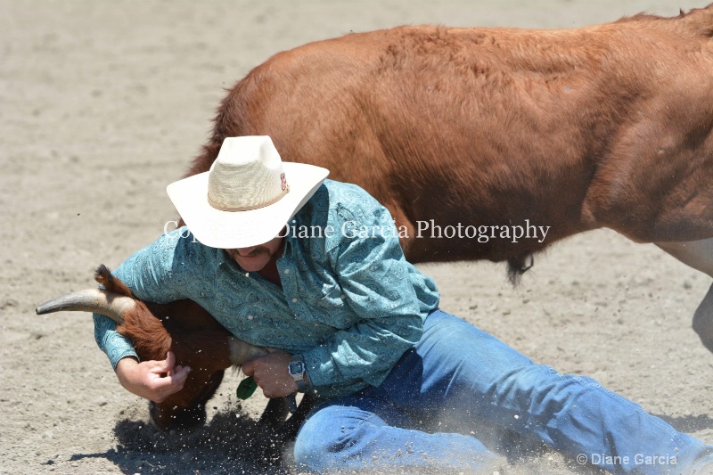 ujra parent rodeo 2014  22  - ID: 14564295 © Diane Garcia