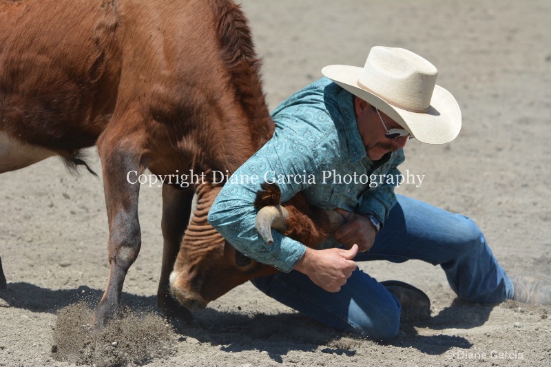ujra parent rodeo 2014  23  - ID: 14564296 © Diane Garcia
