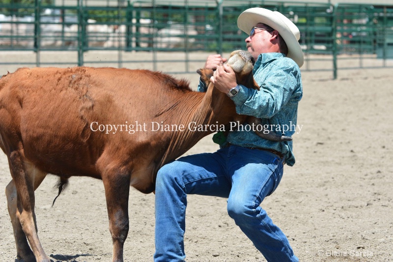 ujra parent rodeo 2014  24  - ID: 14564297 © Diane Garcia