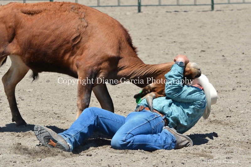 ujra parent rodeo 2014  25  - ID: 14564298 © Diane Garcia