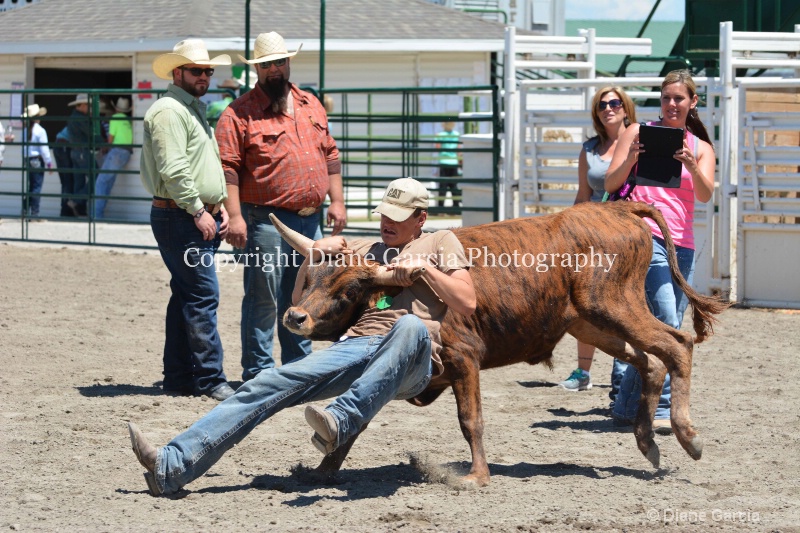 ujra parent rodeo 2014  26  - ID: 14564299 © Diane Garcia