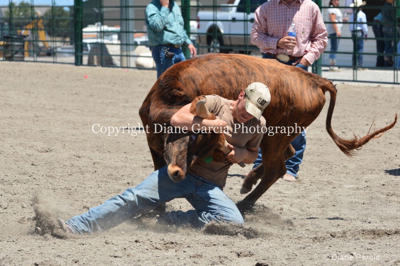 ujra parent rodeo 2014  27  - ID: 14564300 © Diane Garcia