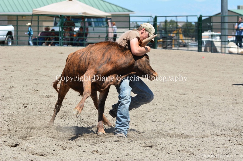 ujra parent rodeo 2014  28  - ID: 14564301 © Diane Garcia