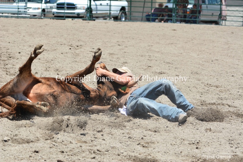 ujra parent rodeo 2014  29  - ID: 14564302 © Diane Garcia