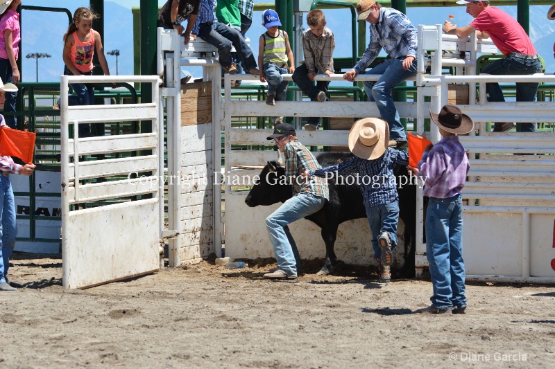 ujra parent rodeo 2014  30  - ID: 14564303 © Diane Garcia