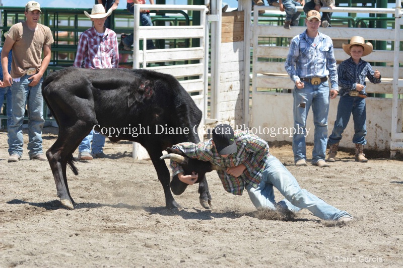 ujra parent rodeo 2014  31  - ID: 14564304 © Diane Garcia