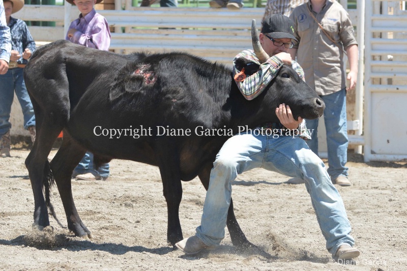 ujra parent rodeo 2014  32  - ID: 14564305 © Diane Garcia