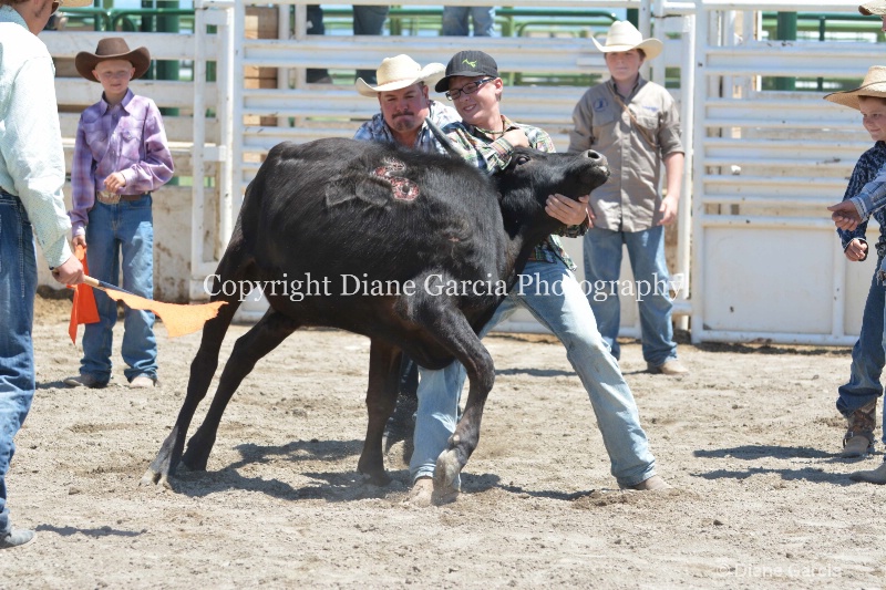 ujra parent rodeo 2014  33  - ID: 14564306 © Diane Garcia