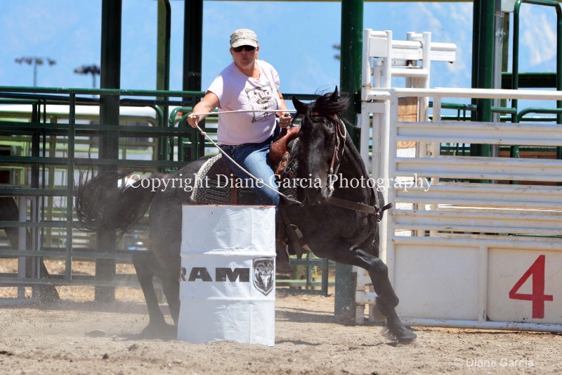 ujra parent rodeo 2014  34  - ID: 14564307 © Diane Garcia