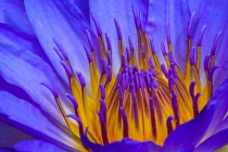 July 2014 Photo Contest 2nd Place Prize Winner