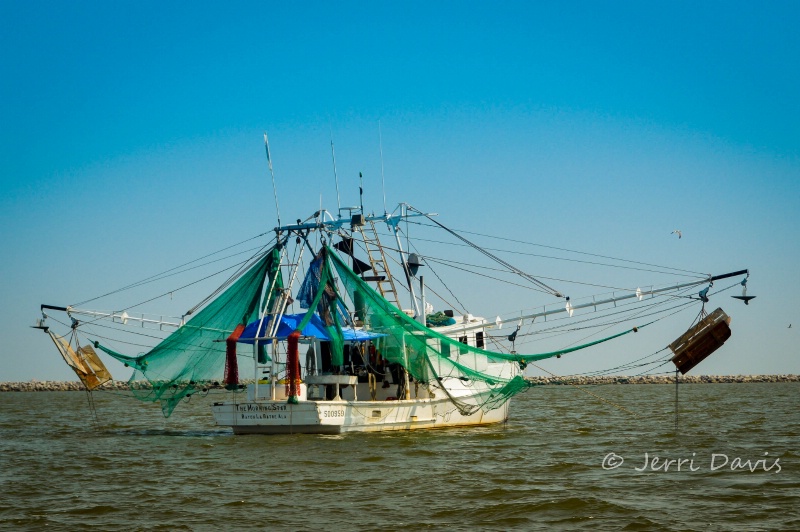 Sleeping Shrimper