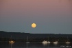 Full moon rising