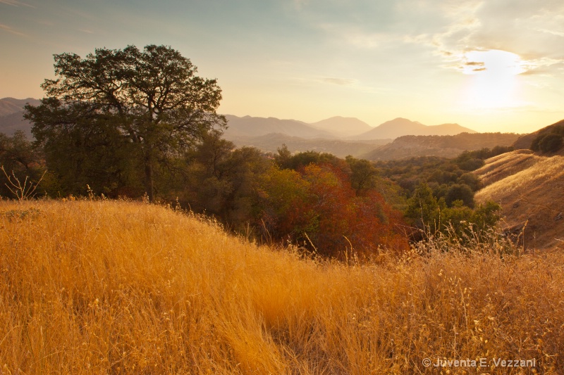Golden Sunset - foothills of Sequoia Forest