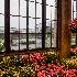© Ann Lyssenko PhotoID # 14567764: Rainy Day at Longwood