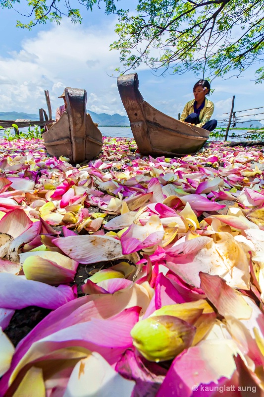 Flowers girl..