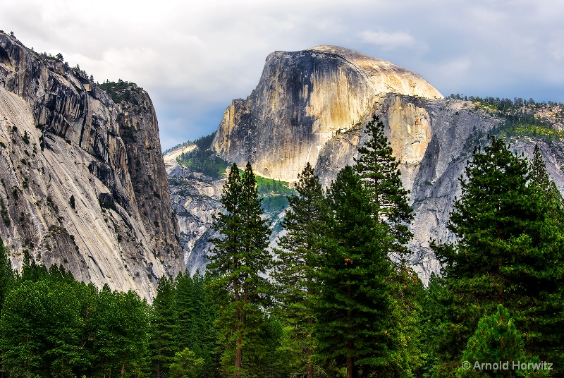 Half Dome with Trees