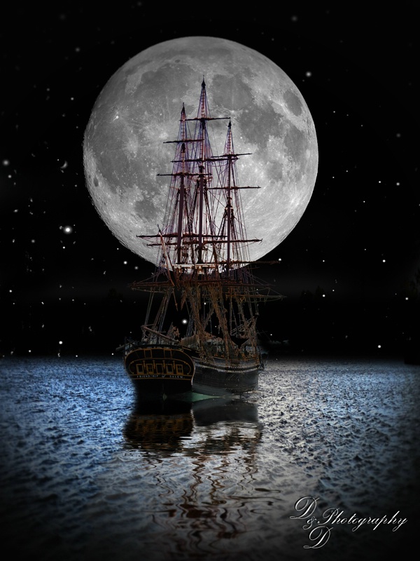 Moonlight Sail