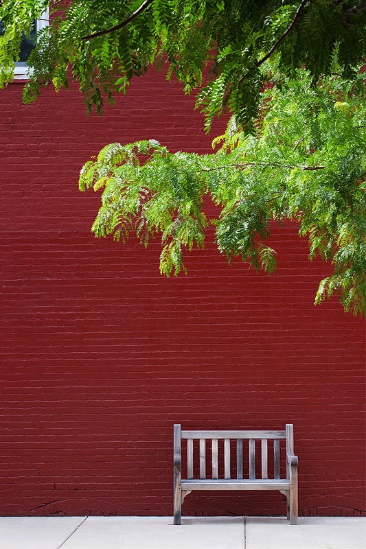 Lonely Bench