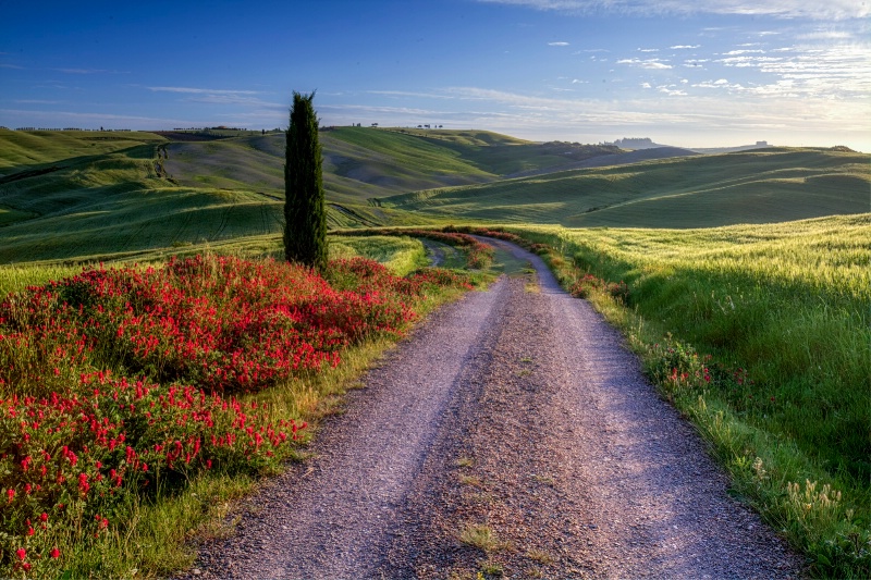 Look Down That Tuscan Road 