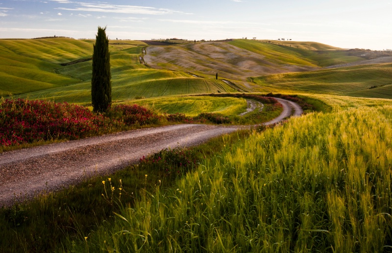 Just Another Tuscan Road