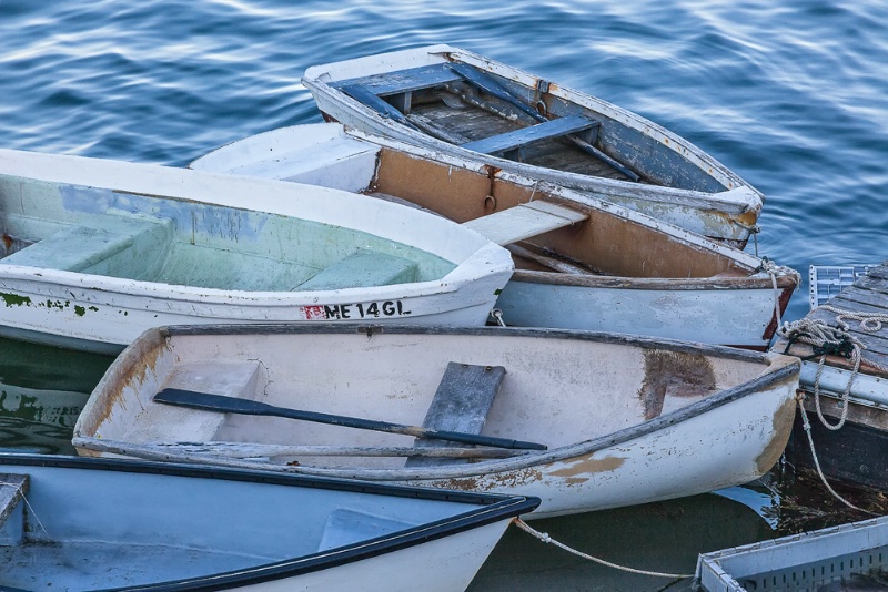Tethered rowboats, Maine mg 8090